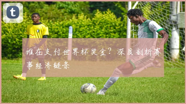 谁在支付世界杯奖金？深度剖析赛事经济链条