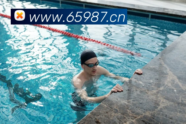 pg国际网平台生态图